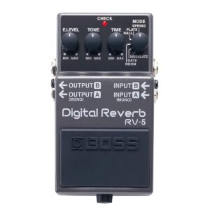 Boss RV-5