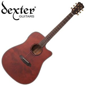 Dexter 덱스터 어쿠스틱기타 Deluxe Custom CEQ