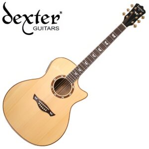 Dexter 덱스터 어쿠스틱기타 DGO-415E(오방골)