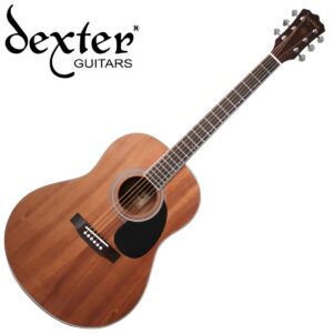 Dexter 덱스터 어쿠스틱기타 DD-15