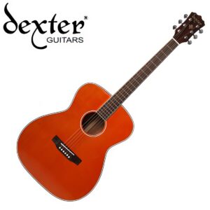 Dexter 덱스터 비타민 OM [박학기 모델] 동영상