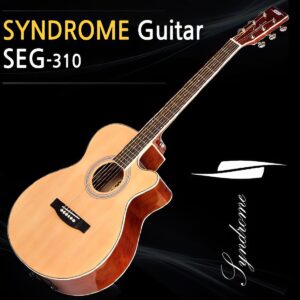 Syndrome SEG-310 / 픽업,튜너장착