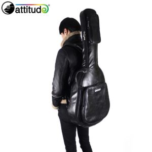 Attitude Studio 어쿠스틱 케이스 / Black