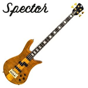 Spector Euro 4 LT / 스펙터 베이스 (Tiger Eye Gloss)
