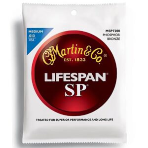 Martin MSP7200 마틴 어쿠스틱 스트링 (013-056)