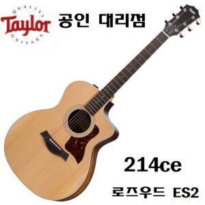 Taylor 214ce 로즈우드 ES2 [최강 패키지]