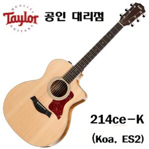 Taylor 214ce-K ES2 [최강 패키지, 당일발송]