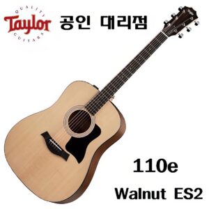 Taylor 110e Walnut ES2