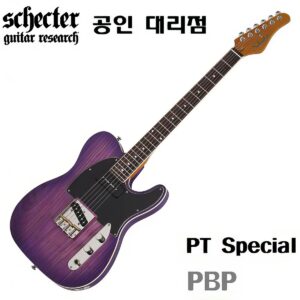 Schecter 일렉기타 PT Special / 쉑터 Purple Burst Pearl (PBP)