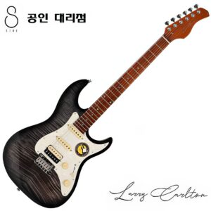 SIRE - Larry Carlton S7 FM / 사이어 래리칼튼 (TBK)