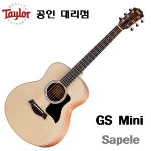 Taylor GS Mini Sapele / 테일러 어쿠스틱 미니기타 샤펠 측후판