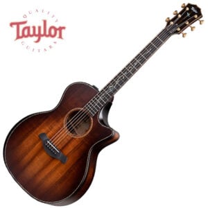 Taylor K24ce Builders Edition / 테일러 V-Class ES2