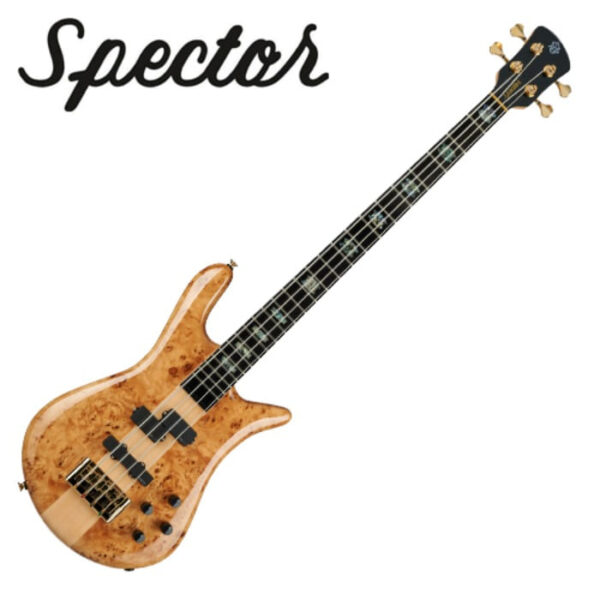 Spector Euro 4 CST / 스펙터 베이스기타 (Natural Gloss)