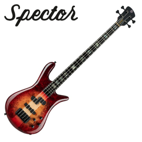 Spector Euro 4 CST / 스펙터 베이스기타 (Natural Red Burst)