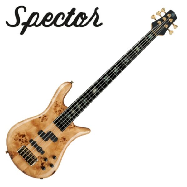 Spector Euro 5 CST / 스펙터 베이스기타 (Natural Gloss)