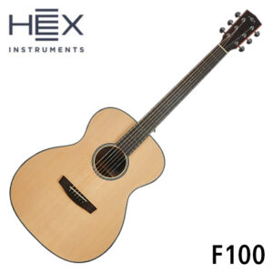 HEX 헥스 통기타 HIVE New F100 무광