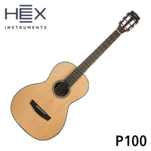 HEX 헥스 통기타 HIVE P100 (Matt)