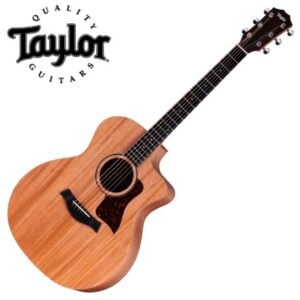 Taylor 어쿠스틱기타 24ce / Fishman 픽업