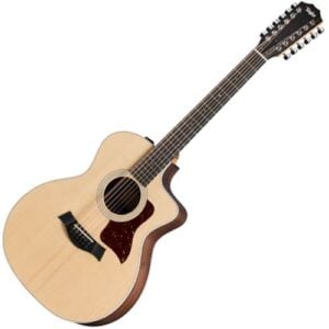 Taylor 테일러 12현 어쿠스틱기타 254ce