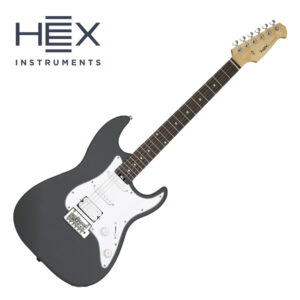 HEX 헥스 E100 Standard 일렉기타 (S/SG)