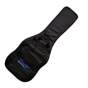 스윙 일렉 케이스 SG10
