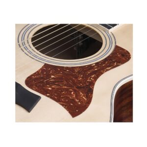 Taylor 피크가드 (Tortoise)